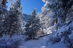 photo thumbnail #2