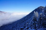 photo thumbnail #10