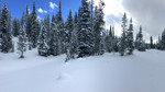 photo thumbnail #4