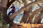 photo thumbnail #2