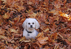 photo thumbnail #3