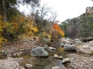 photo thumbnail #5