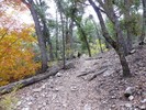 photo thumbnail #7