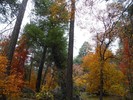 photo thumbnail #11