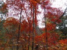 photo thumbnail #14