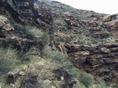 photo thumbnail #7