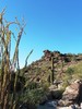 photo thumbnail #1