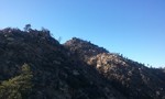 photo thumbnail #1