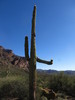photo thumbnail #9