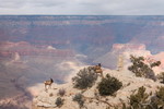 photo thumbnail #13