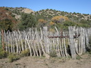 photo thumbnail #6