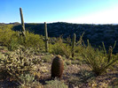 photo thumbnail #4