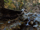 photo thumbnail #1