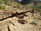 photo thumbnail #6