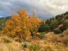 photo thumbnail #3