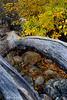 photo thumbnail #9