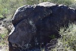 photo thumbnail #9
