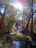photo thumbnail #15