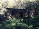 photo thumbnail #5