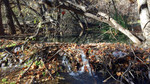 photo thumbnail #11