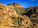 photo thumbnail #11