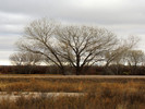 photo thumbnail #14