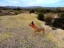photo thumbnail #8