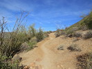photo thumbnail #4