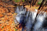photo thumbnail #6