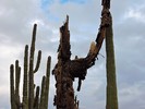 photo thumbnail #3