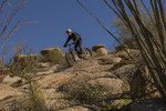 photo thumbnail #9