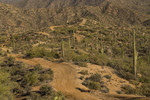 photo thumbnail #12