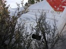 photo thumbnail #11