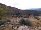 photo thumbnail #2