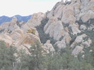 photo thumbnail #10