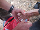 photo thumbnail #14