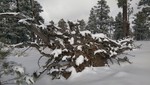 photo thumbnail #1