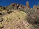 photo thumbnail #3