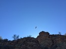 photo thumbnail #15