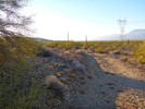 photo thumbnail #5
