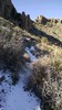 photo thumbnail #12