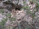 photo thumbnail #7