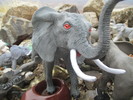 photo thumbnail #5