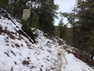 photo thumbnail #1