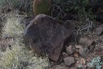 photo thumbnail #11