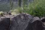 photo thumbnail #13