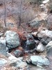 photo thumbnail #9