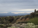 photo thumbnail #2