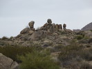 photo thumbnail #11