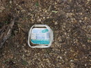 photo thumbnail #14